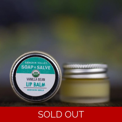 Vanilla Bean Lip Balm